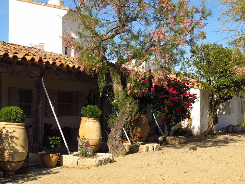 Cacharel Hotel Saintes-Maries-de-la-Mer Exterior foto